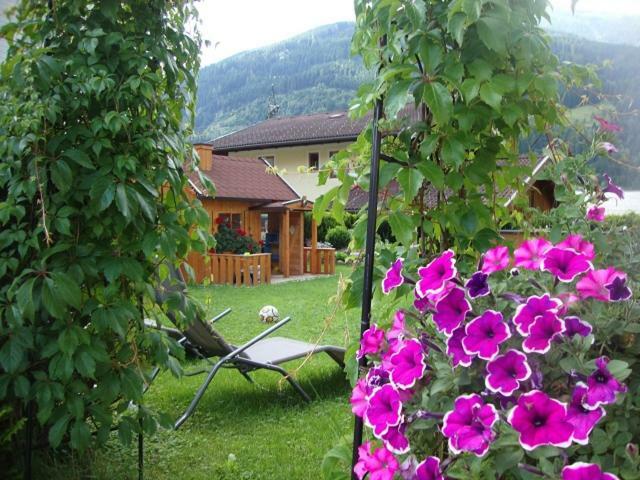 Апартаменти Haus Schnepfleitner Дорфгаштайн Екстер'єр фото
